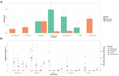 Parasite–gut microbiota associations in wild wood mice (Apodemus sylvaticus)